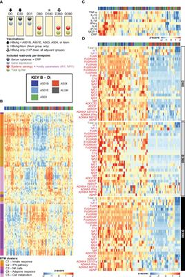 An innate immune signature induced by AS01- or AS03-adjuvanted vaccines predicts the antibody response magnitude and quality consistently over time